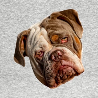 Sad face of a Bulldog T-Shirt